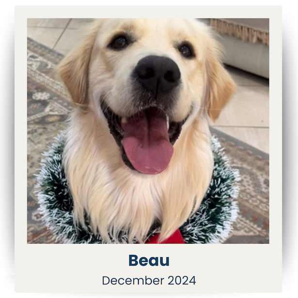 December 2024 Cute Pet Winner