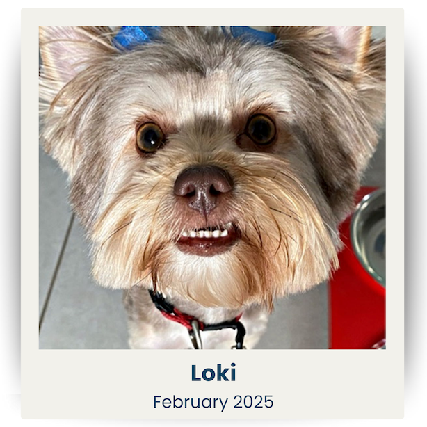 February 2025 Cute Pet Winner