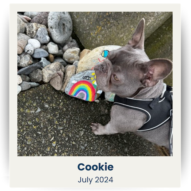 Cute Pet UK Winners