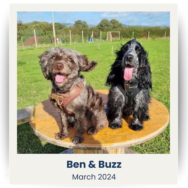 Cute Pet UK Winners