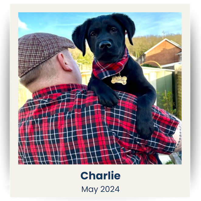 Cute Pet UK Winners