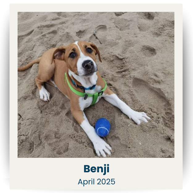 CPSA - Apr 2025 - 1 - Benji
