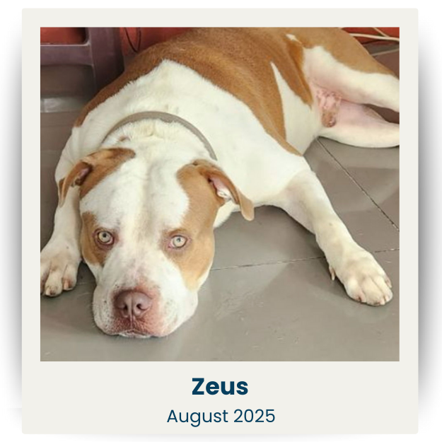 CPSA - Aug 2025 - 1 - Zeus