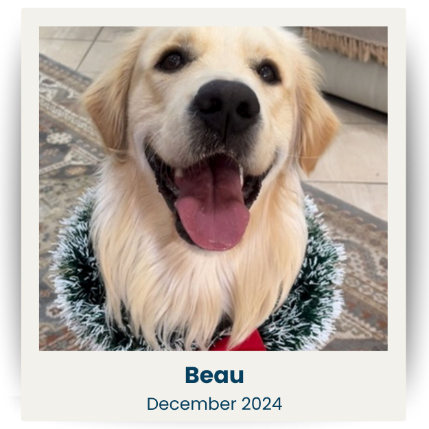 CPSA - Dec 2024 - 1 - Beau