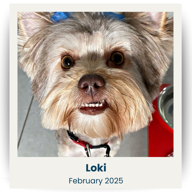 CPSA - Feb 2025 - 1 - Loki