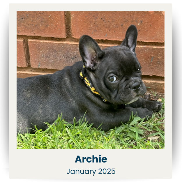 CPSA - Jan 2025 - 1 - Archie