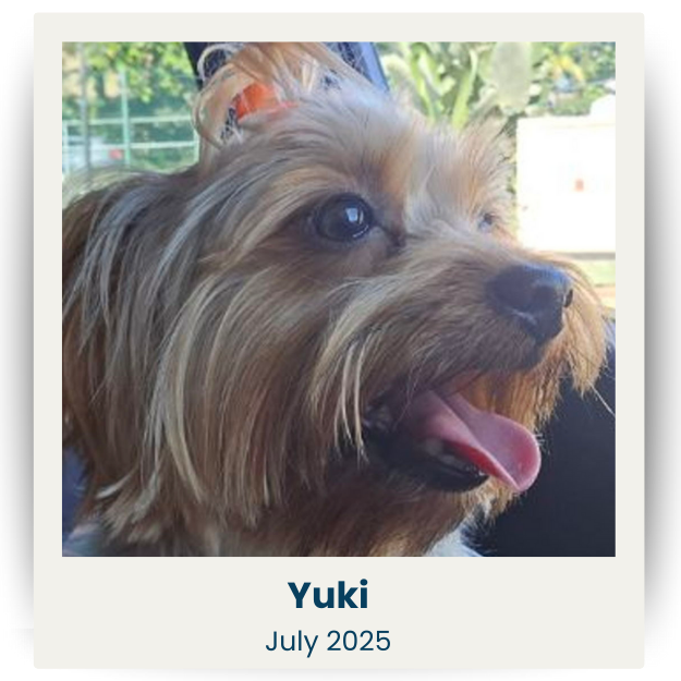 CPSA - July 2025 - 1 - Yuki