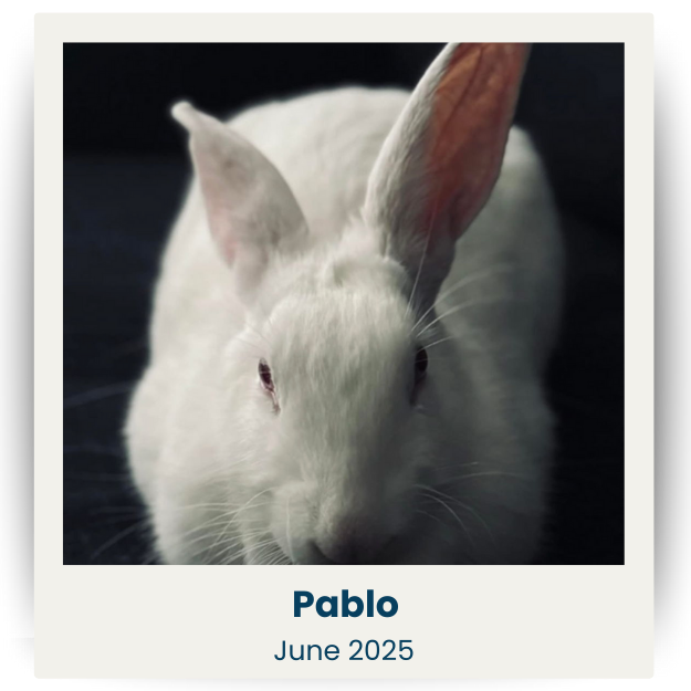 CPSA - June 2025 - 1 - Pablo