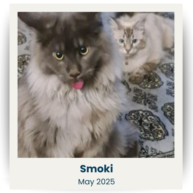 CPSA - May 2025 - 1 - Smoki