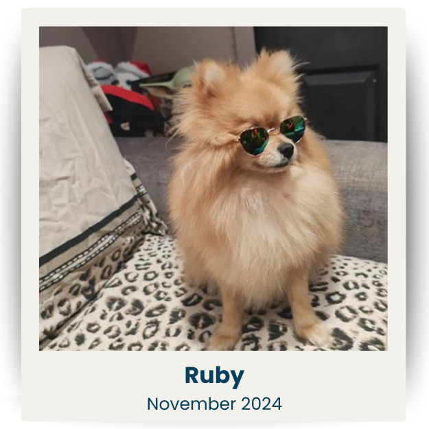 CPSA - Nov 2024 - 1 - Ruby