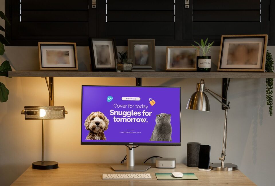 Cutify Brand Partnerships